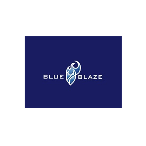 安川電機BLUE BLAZE